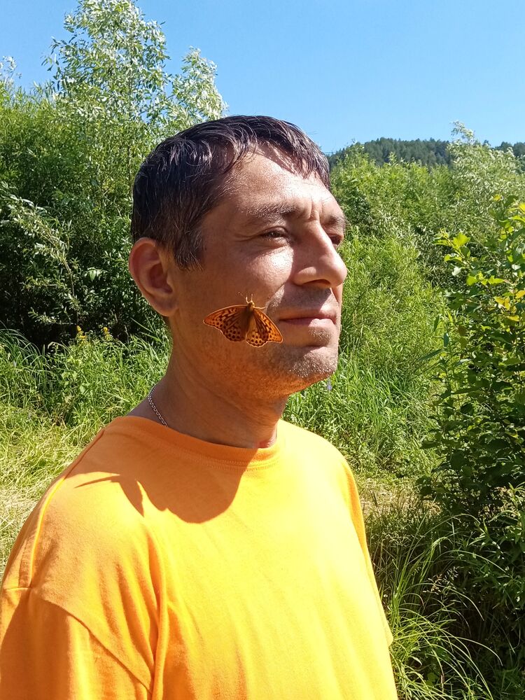 ���� 55319534 ������� EVG, 42 ����, ���� ���������� � �������������