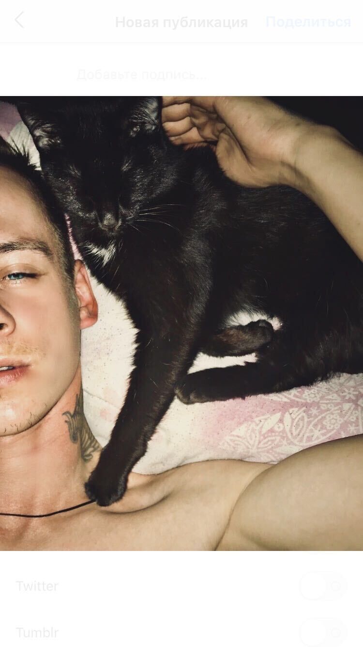 ���� 56016574 ������� ������, 31 ���, ���� ���������� � �����������