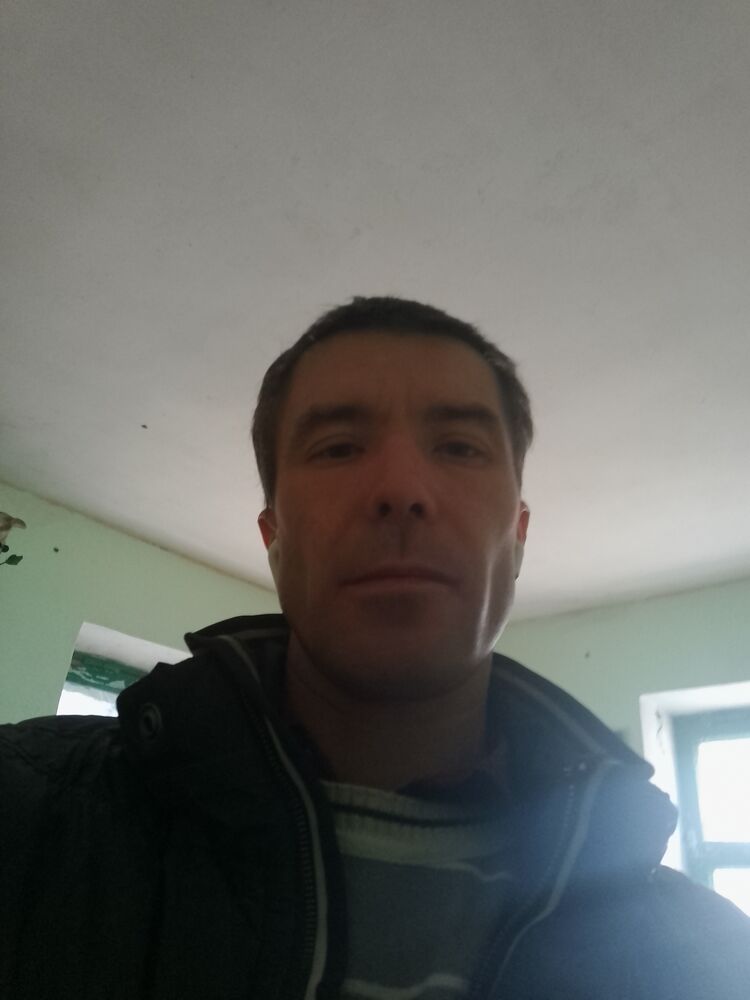 ���� 55431294 ������� �����, 40 ���, ���� ���������� � ���������