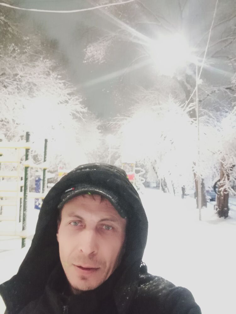 ���� 41933204 ������� ������, 44 ����, ���� ���������� � ������