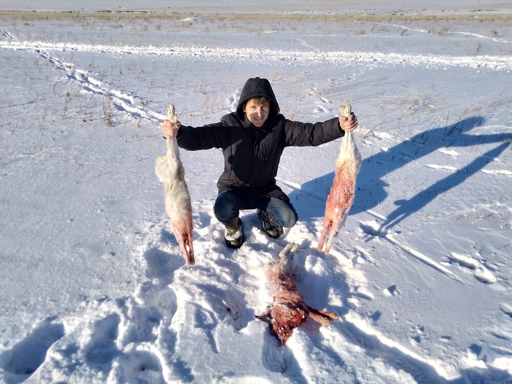 ���������� ���������, ���� ������� ���������, 29 ���, ������������ ��� ������, ����� � ���������, c�������� ���������