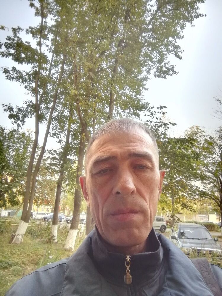 49949854  , 51 ,    