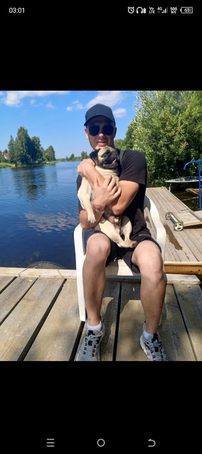 ���� 50094434 ������� ��������, 26 ���, ���� ���������� � �����-����������