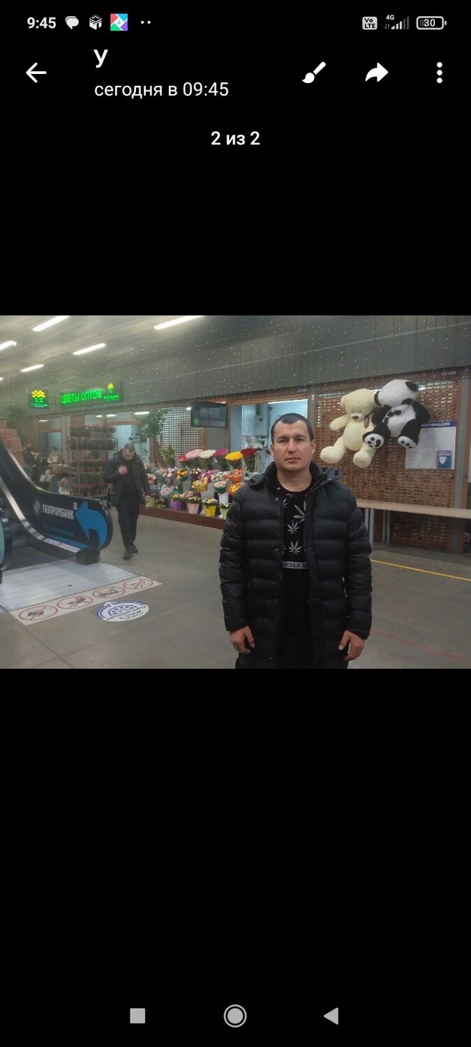  49056394  , 37 ,    