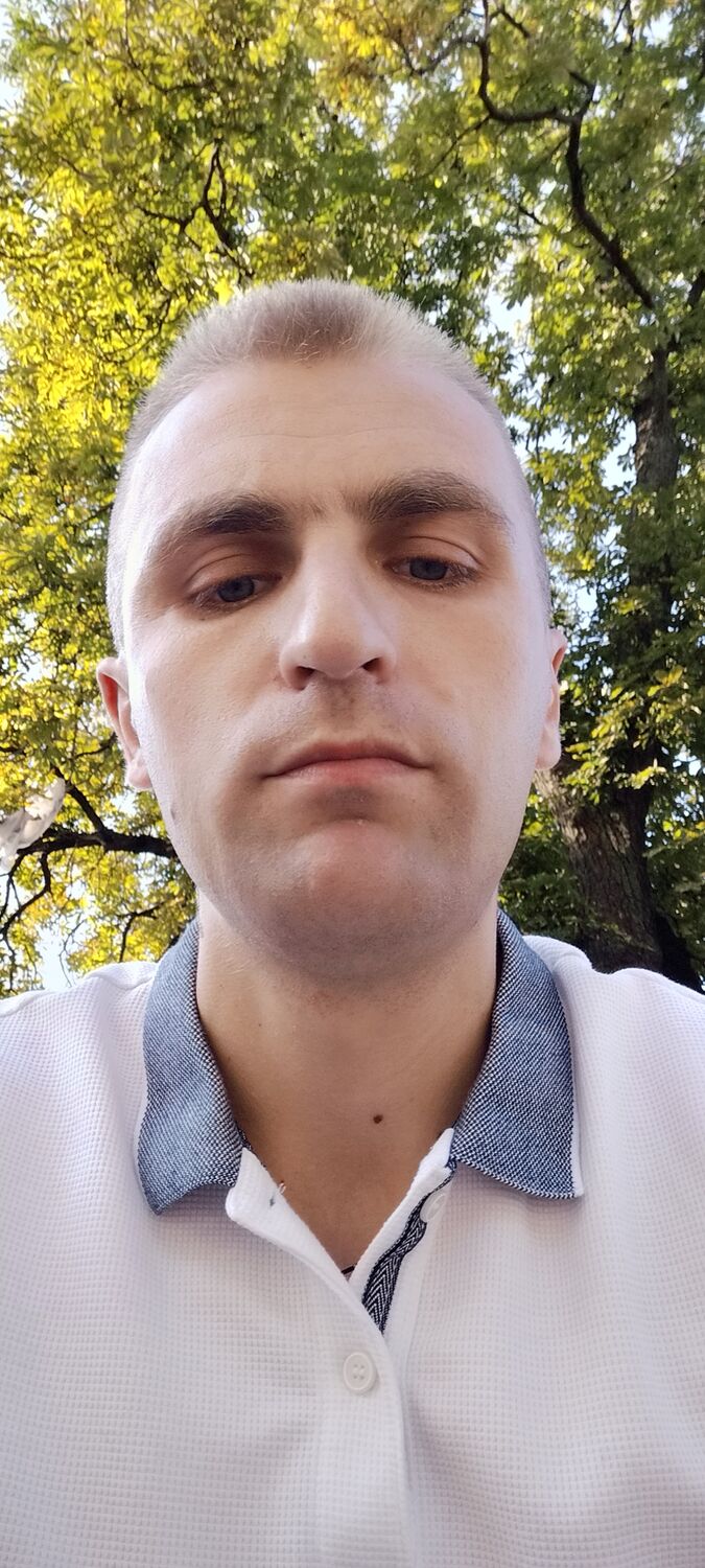  31068034  , 33 ,    