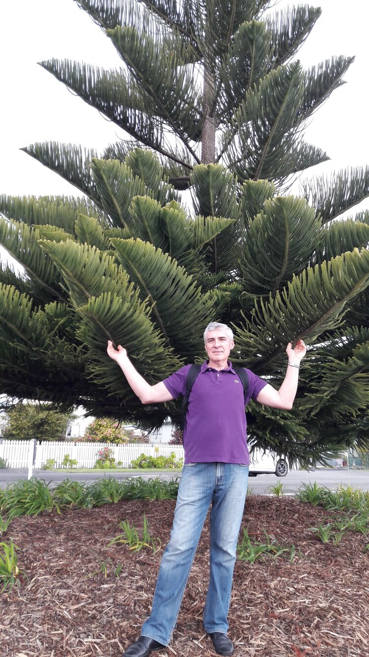 ���������� �����������, ���� ������� ���������, 56 ���, ������������ ��� ������, ����� � ���������