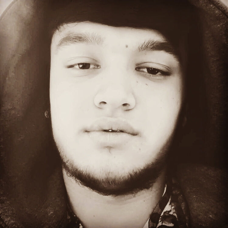 ���������� �����-���������, ���� ������� Hoji, 26 ���, ������������ ��� ������, ����� � ���������