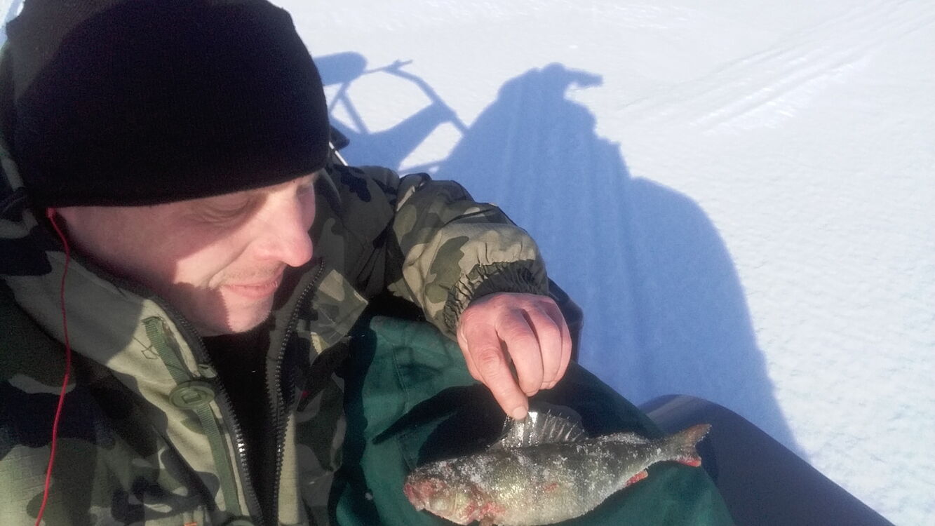 ���� 25569414 ������� ������, 42 ����, ���� ���������� � �������������