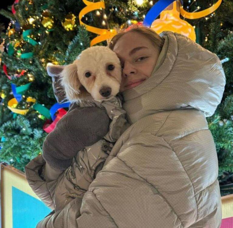 ���� 55302074 ������� ��������, 23 ����, ���� ���������� � ����������