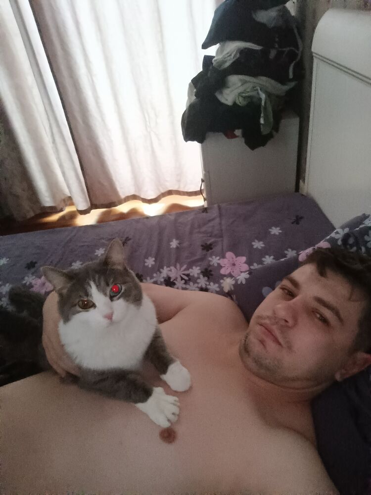  36556404  , 33 ,    