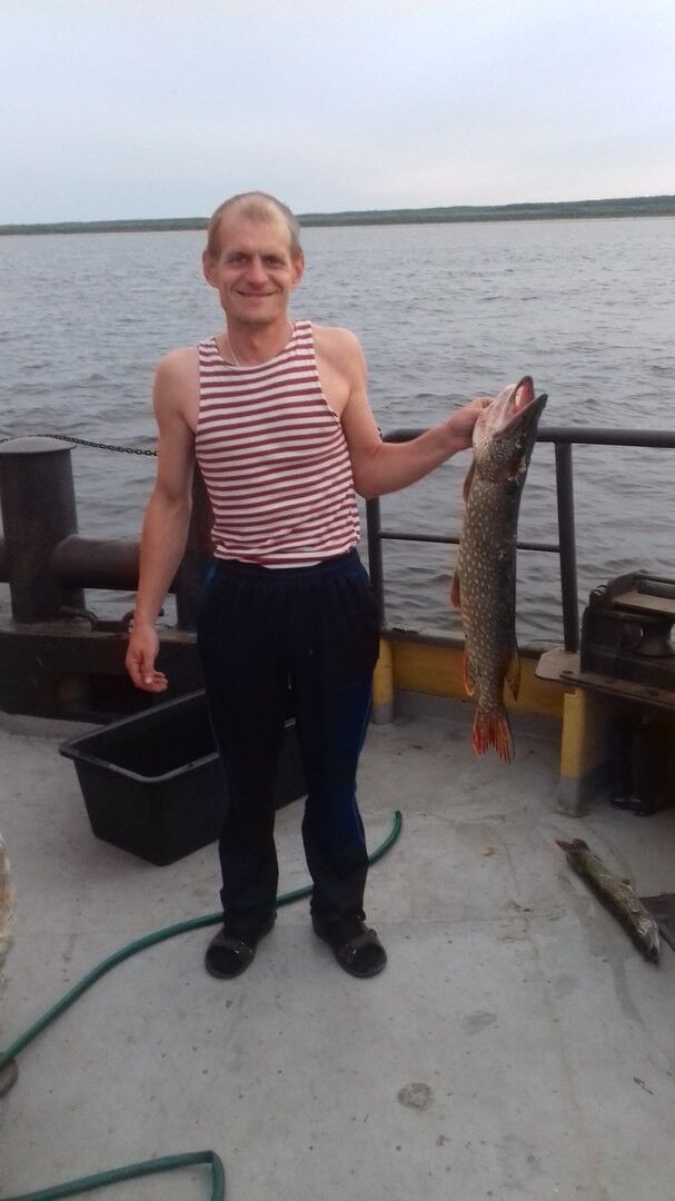 ���� 8516644 ������� �����, 40 ���, ���� ���������� � �����������