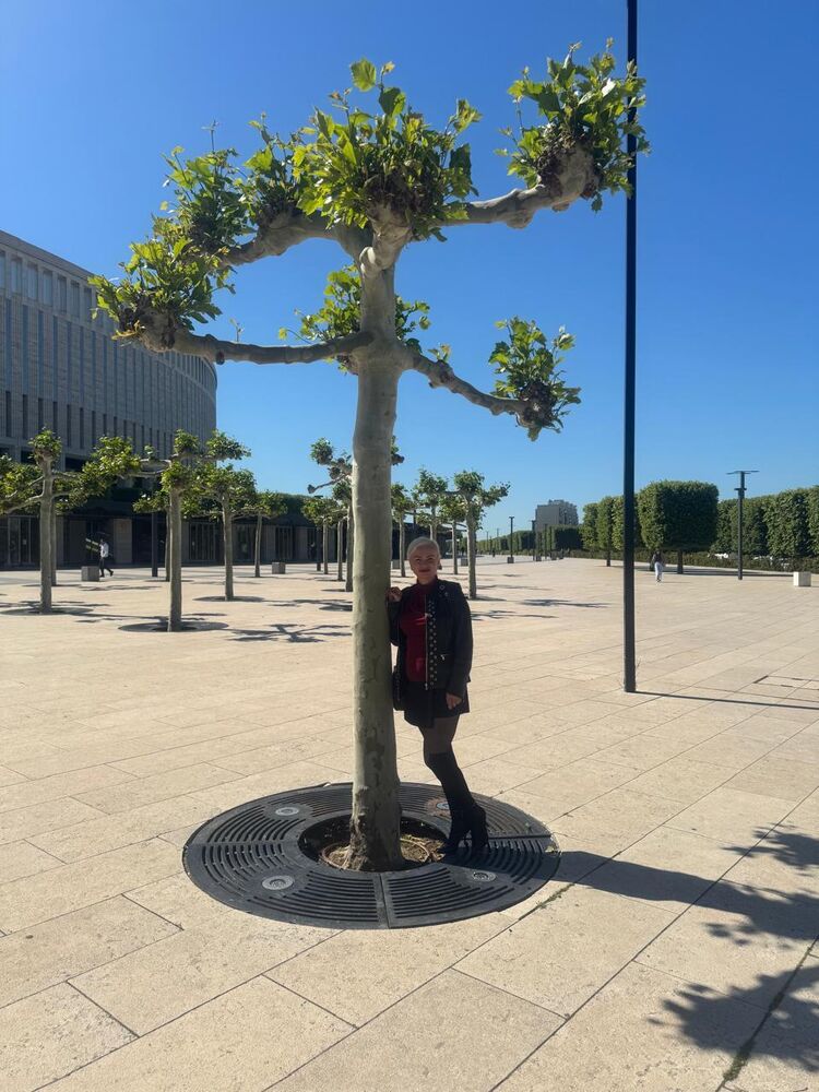 ���������� ���������, ���� ������� �����, 53 ����, ������������ ��� ������, ����� � ���������, ���������