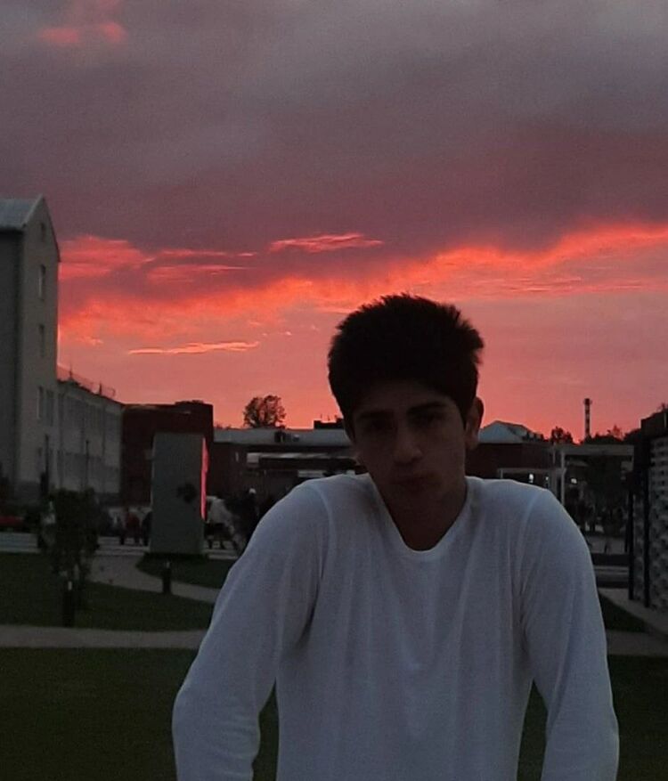 ���� 55113314 ������� ���, 29 ���, ���� ���������� � ����