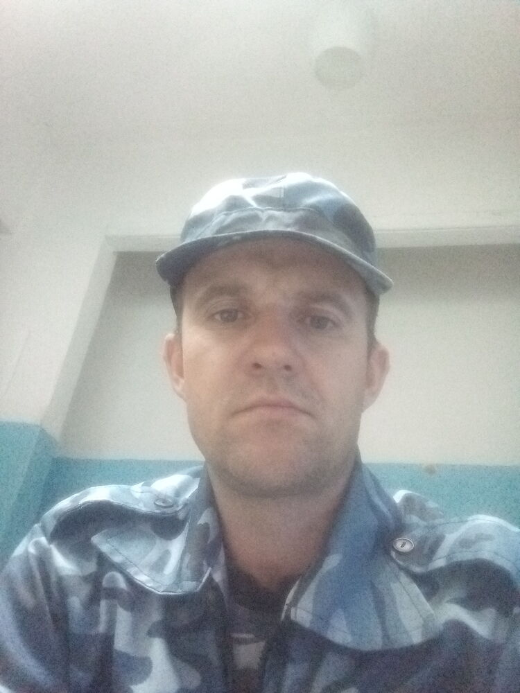  28048754  , 38 ,    
