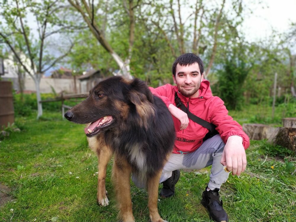 ���������� �����, ���� ������� ����, 31 ���, ������������ ��� ������, ����� � ���������, c�������� ���������, ���������