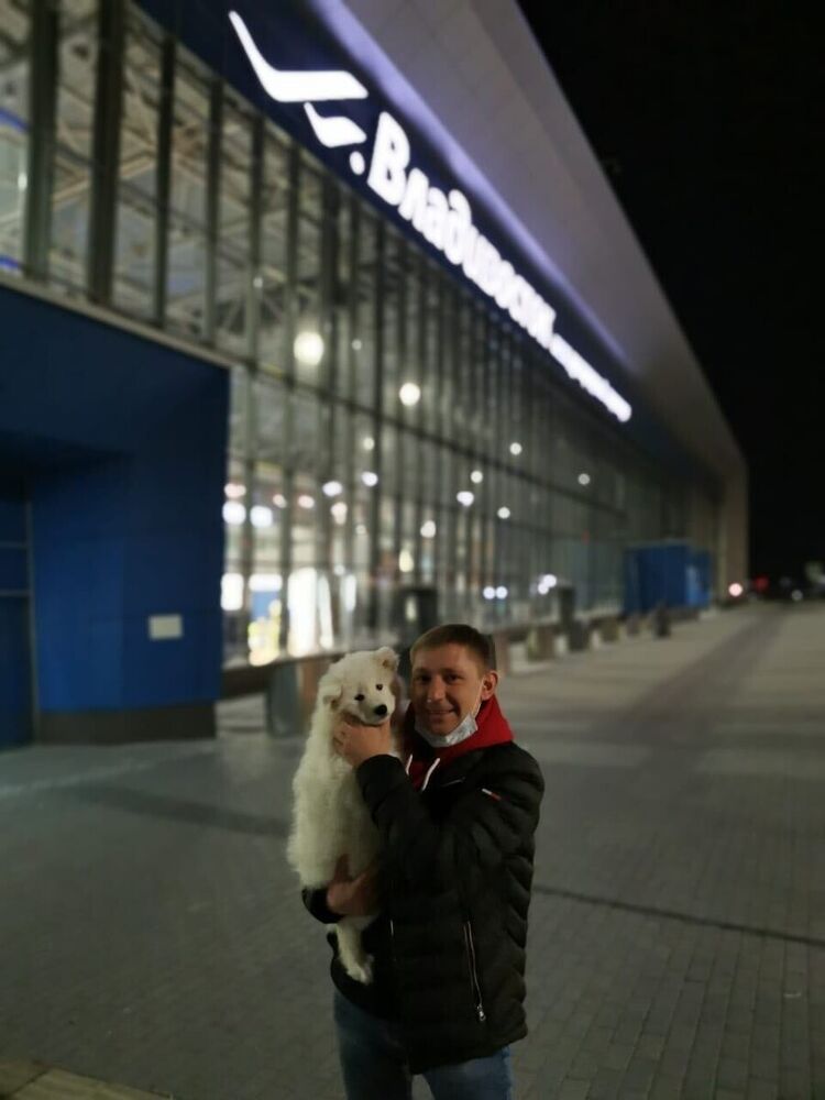 ���������� �����������, ���� ������� �������, 37 ���, ������������ ��� ����� � ���������, c�������� ���������