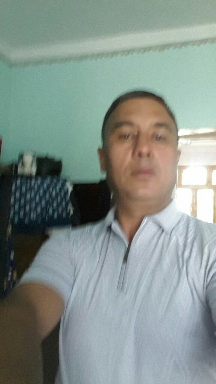  36028944  , 47 ,    