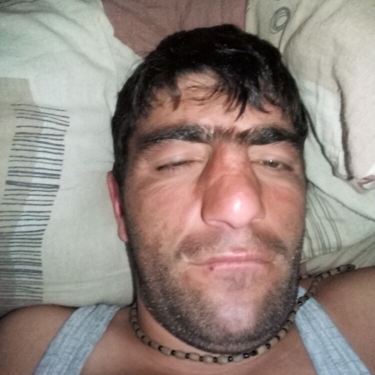 ���� 16666854 ������� Gexam, 35 ���, ���� ���������� � �����-����������