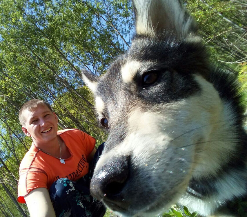 ���� 17126614 ������� ������, 37 ���, ���� ���������� � ����������