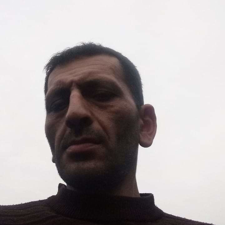  19066904  , 46 ,    -