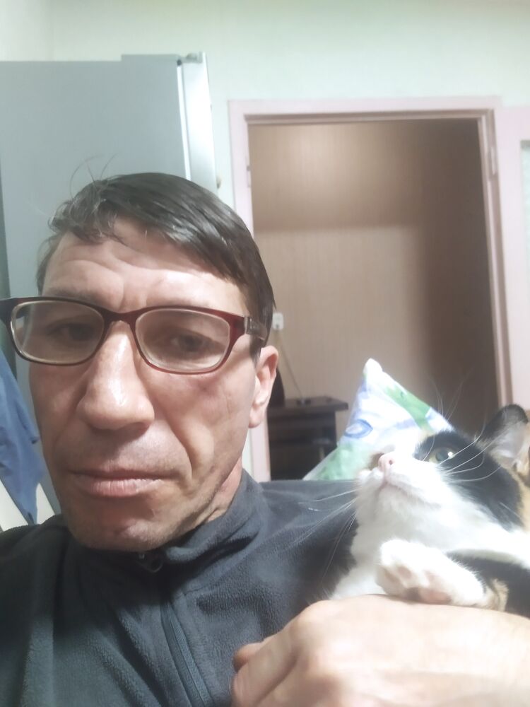  ,   , 46 ,  