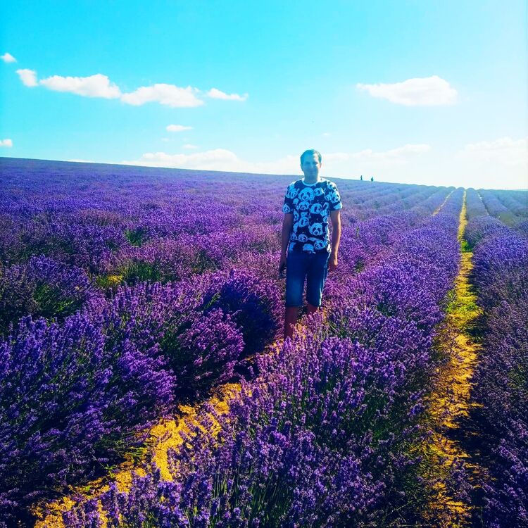 ���� 27893834 ������� ������, 34 ����, ���� ���������� � ������