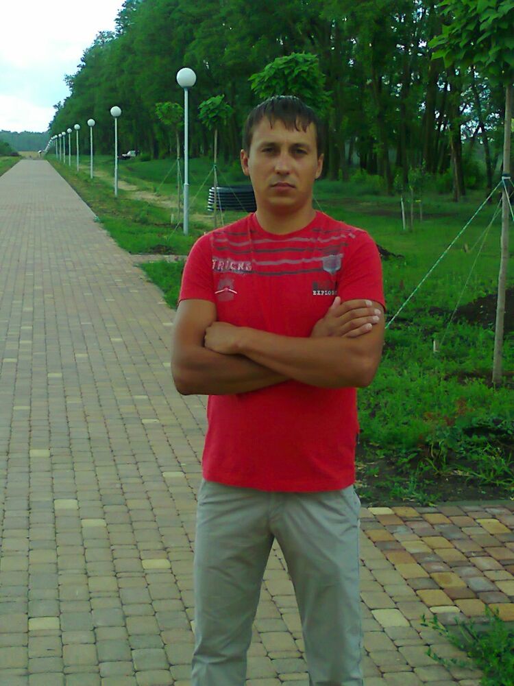  5082374  , 38 ,    -