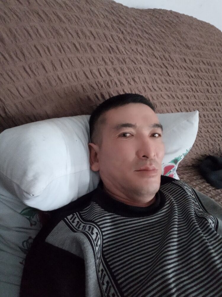  20464984  , 49 ,    