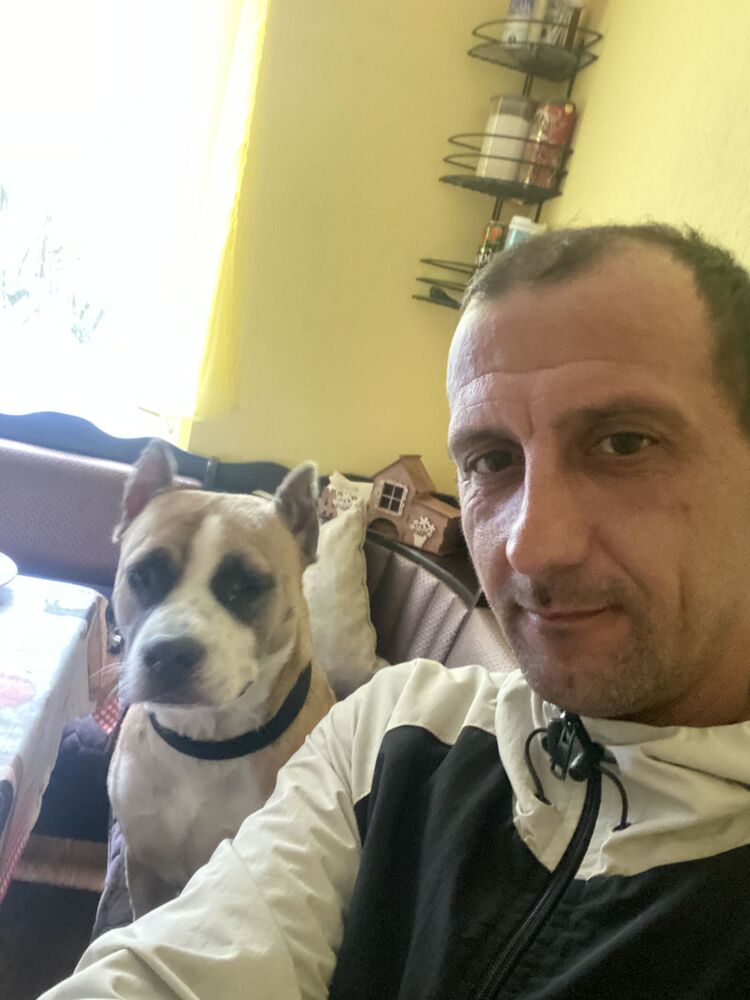 ���������� ������-��-����, ���� ������� �����Stereo, 43 ����, ������������ ��� c�������� ���������