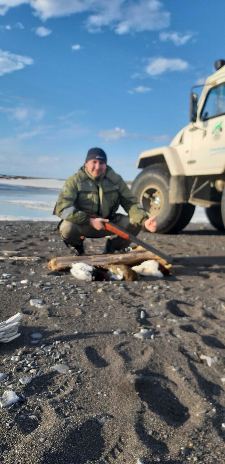 ���� 44811154 ������� ������, 38 ���, ���� ���������� � ������