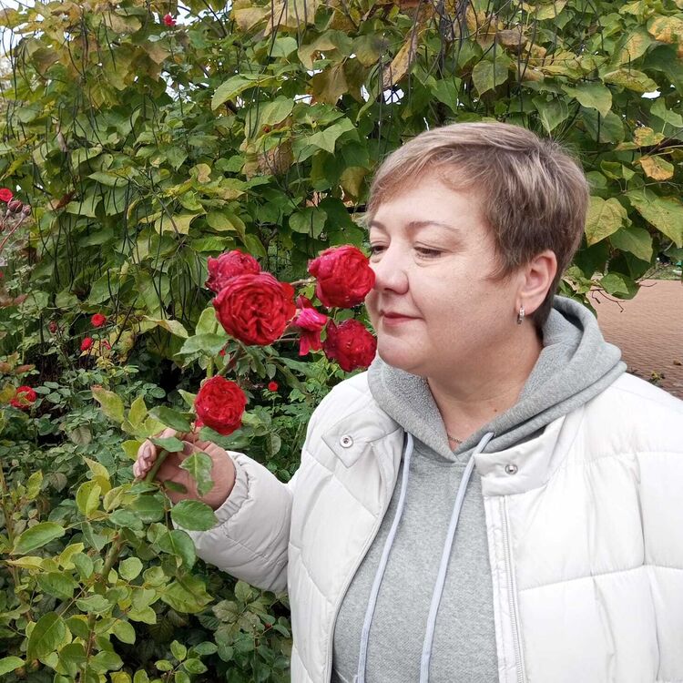  49839034  NATA, 44 ,    