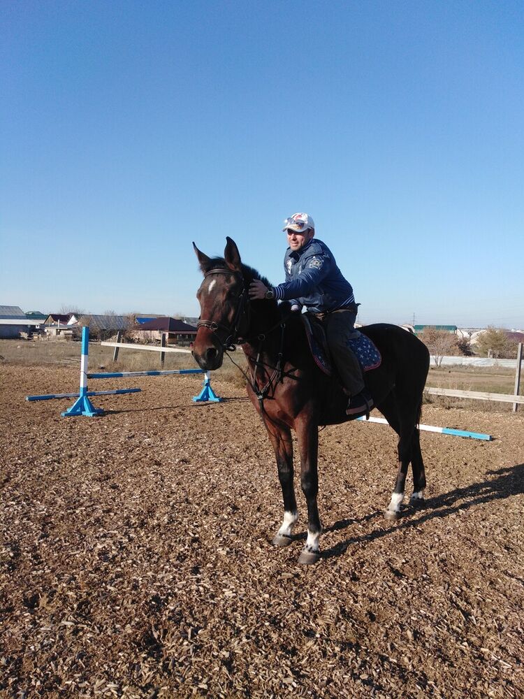 ���������� ���������, ���� ������� �����, 46 ���, ������������ ��� ������, ����� � ���������, c�������� ���������