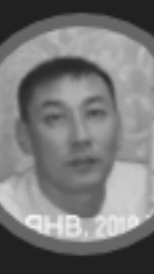 ���� 24024664 ������� ������, 48 ���, ���� ���������� � ������