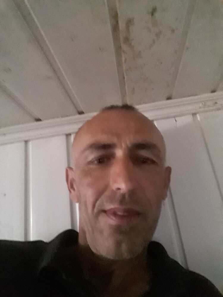  36053504  , 40 ,    