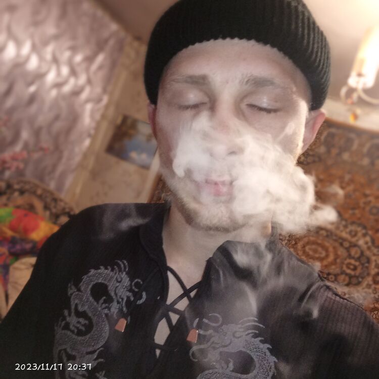  39766864  , 24 ,    
