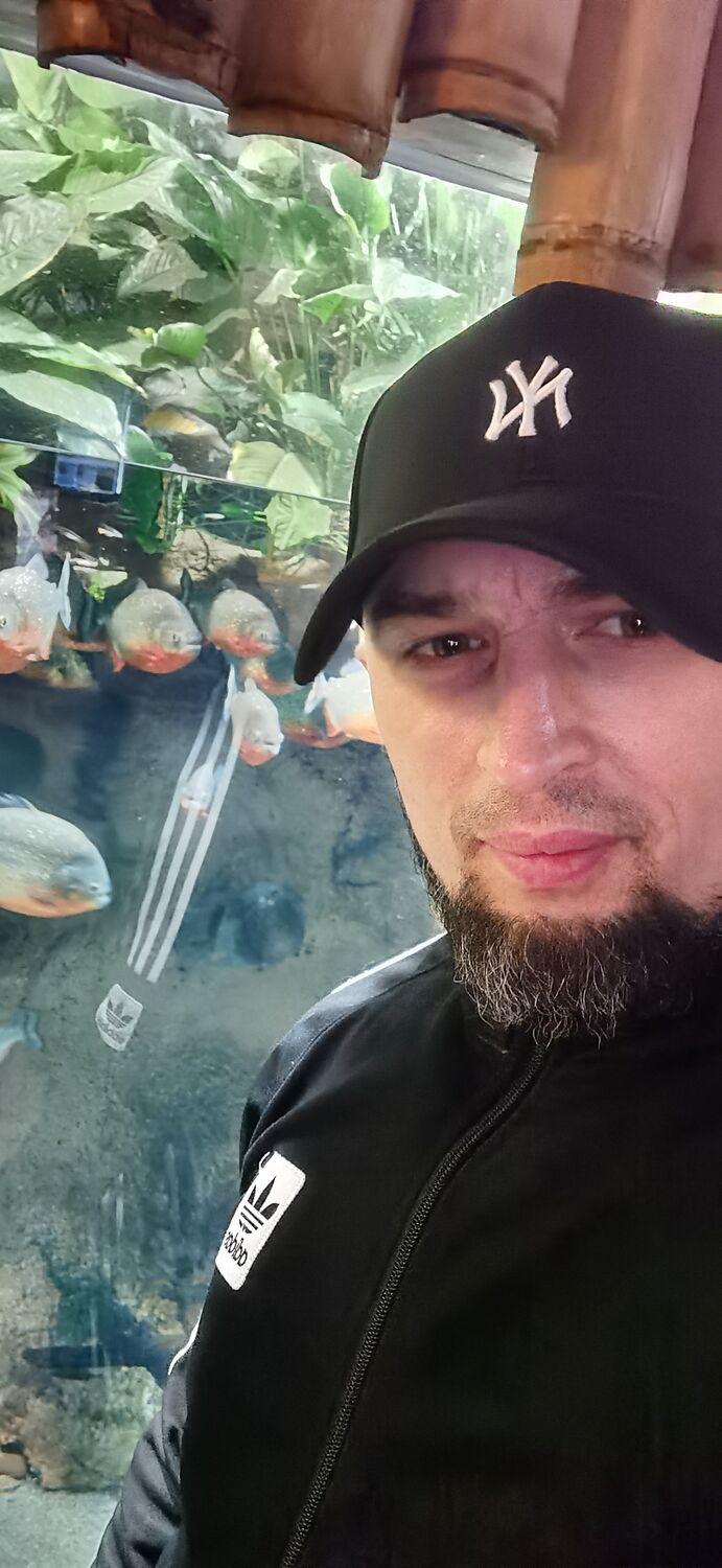 ���� 41841114 ������� ����, 43 ����, ���� ���������� � ������