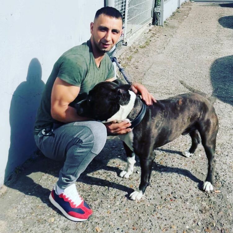 ���� 55316984 ������� ����, 43 ����, ���� ���������� � ������