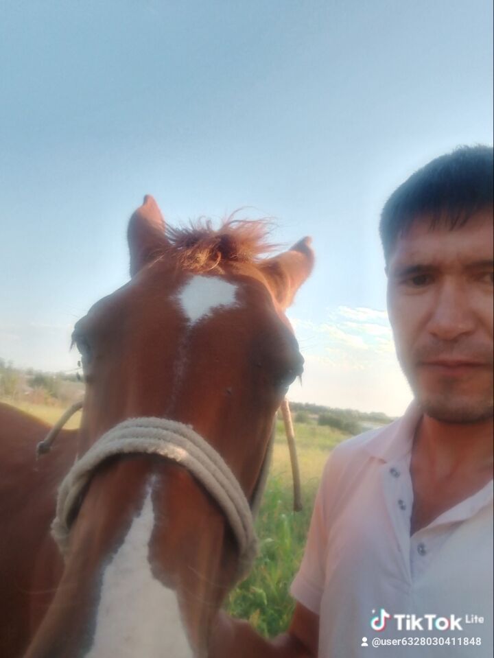  49634524  , 41 ,    