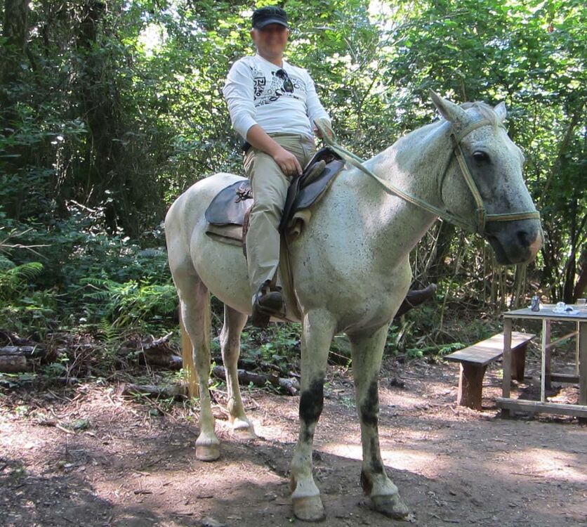 ���� 17317354 ������� Serg, 45 ���, ���� ���������� � ������������