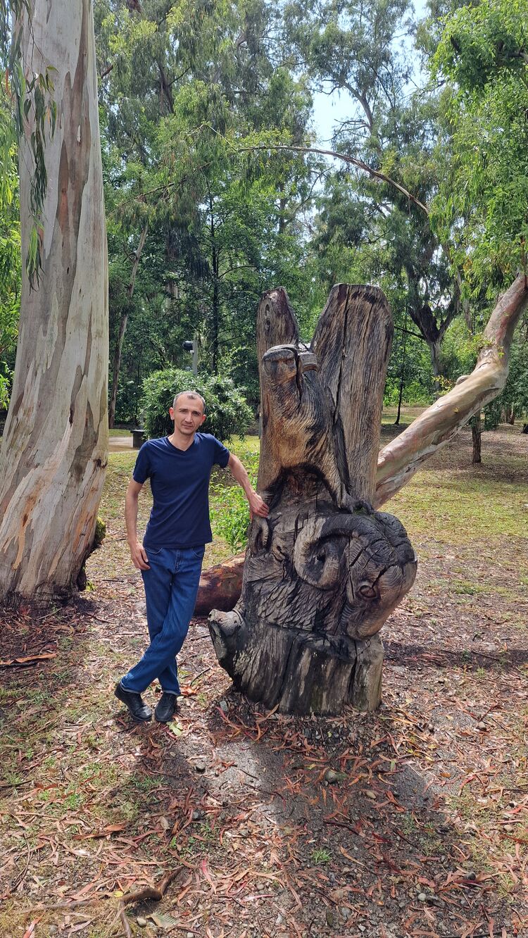  53685314  Alihan, 37 ,    