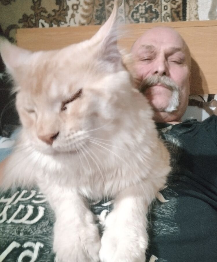 ���������� ������, ���� ������� ������, 52 ����, ������������ ��� ������, ����� � ���������, ���������