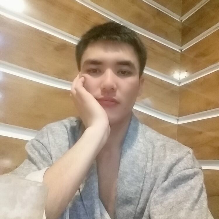  19042884  , 31 ,    