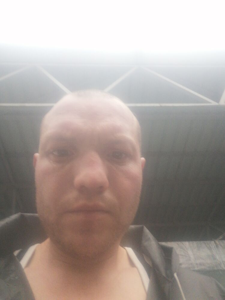  51969664  , 37 ,    