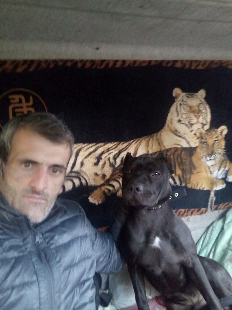  53725804  Vagram, 42 ,    