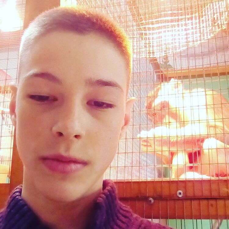 ���� 17667294 ����� ���������, 24 ����, ���� ���������� � ��������������