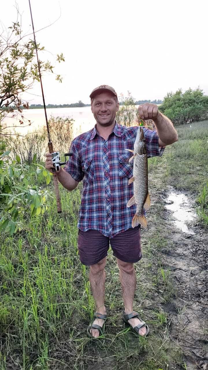 ���� 45077784 ������� �����, 36 ���, ���� ���������� � �����