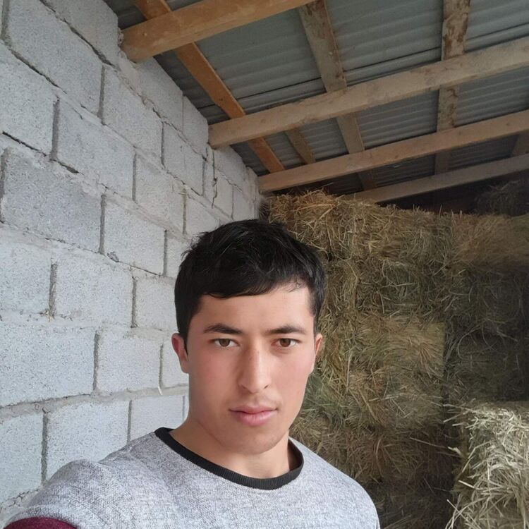  35828734  Sherozi, 33 ,    