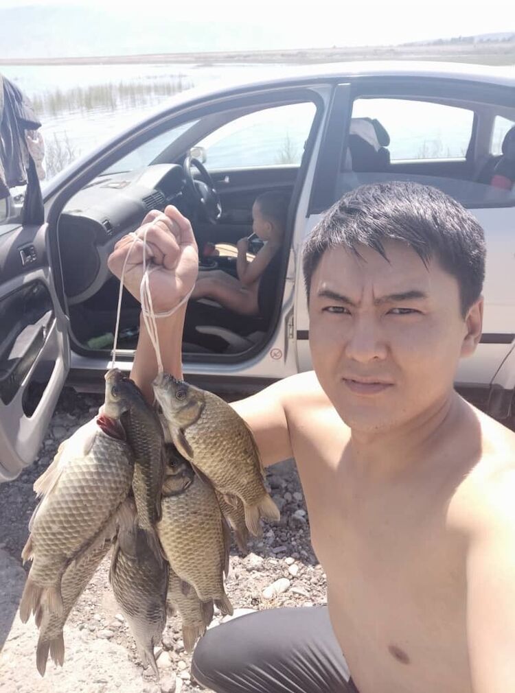 ���� 20840744 ������� ������, 38 ���, ���� ���������� � �������