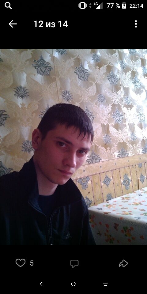  34101554  , 38 ,    