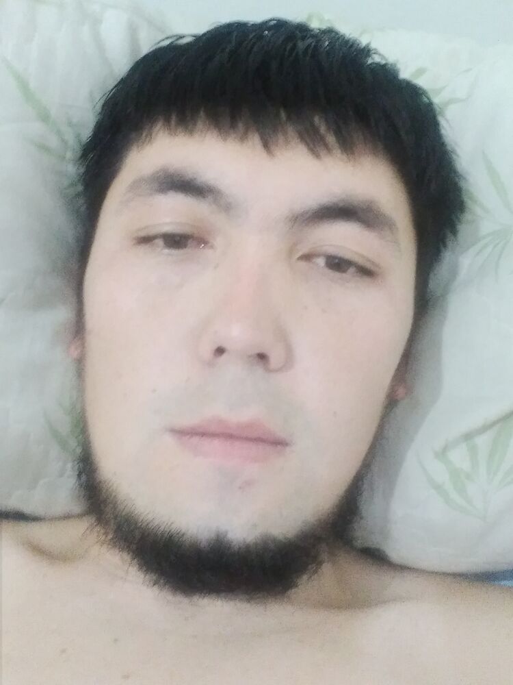  29240704  , 30 ,    -